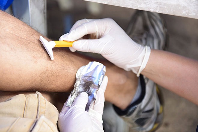 Imagem de referência: Exame Toxicológico